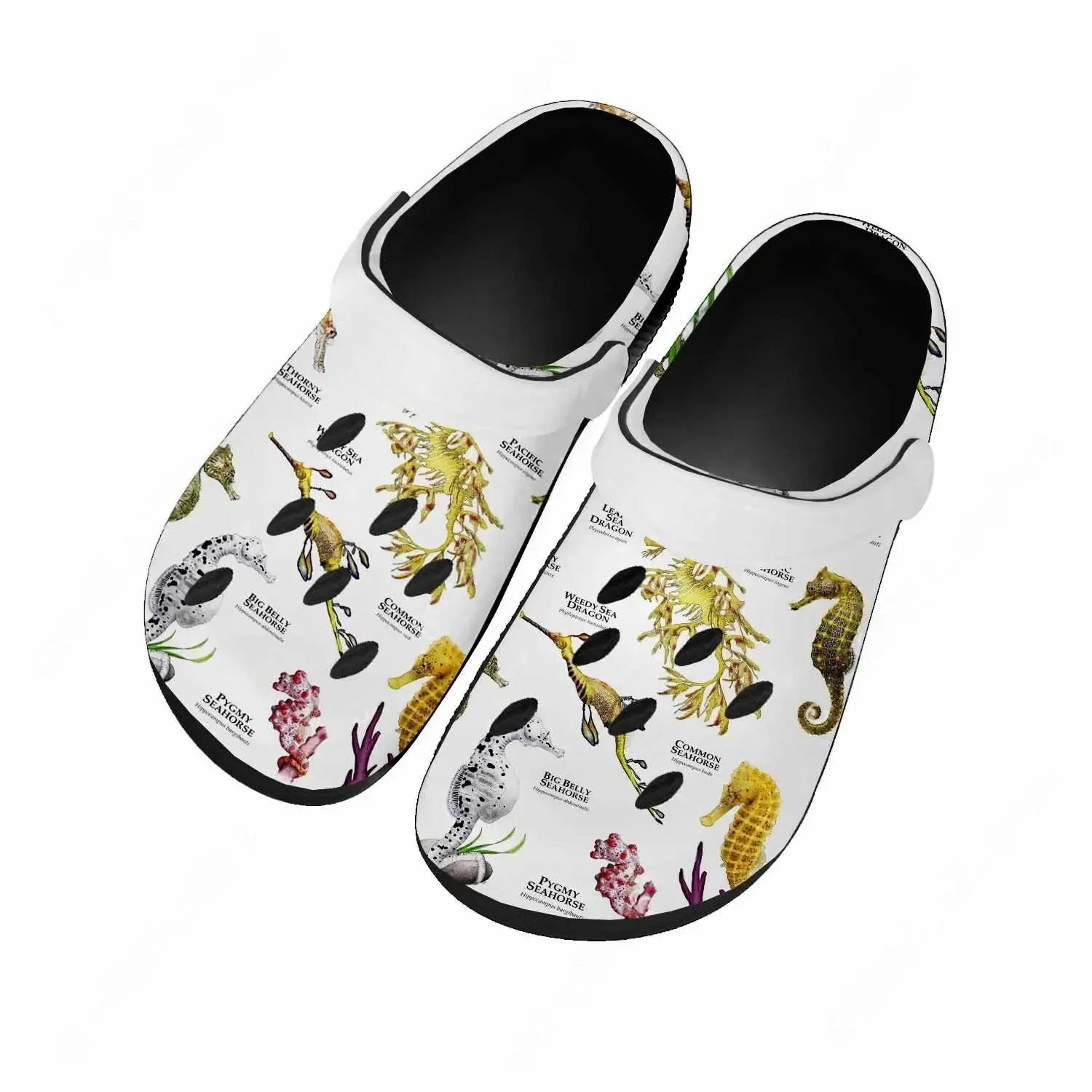 รองเท้าแตะ Seahorse สำหรับผู้ห - Men'S Shoes Quality บทวิจารณ์และราคา